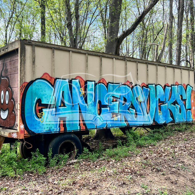 "Cancer Sucks"